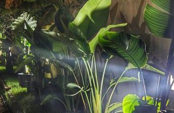 Domos de Ammentos - Foto 9