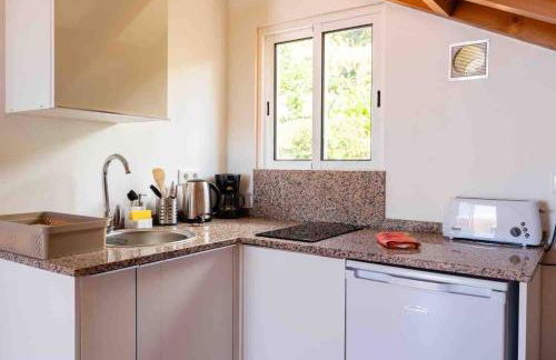 Apartment 1BR Hills over Ponta do Sol, sea view - Foto 13