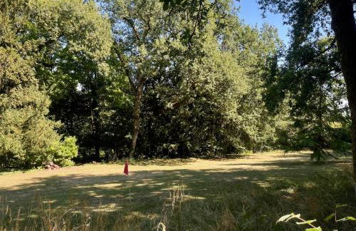 Relais des Hautes Roches - Foto 33