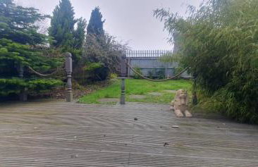 Discovery Meadow House - Photo 6