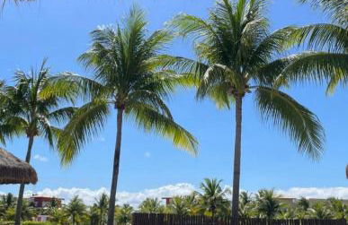 Apartamento no Condomínio Iberostate Praia do Forte - Foto 25