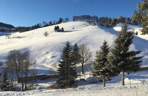 Ferienwohnung Ausklang - Todtnauberg, Feldberg - Foto 18