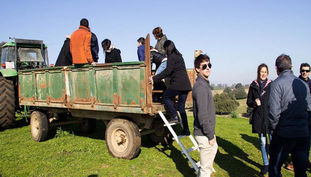 Brave Bulls Tour - Foto 5