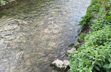 Unterm-Felsen For long stay - Foto 13