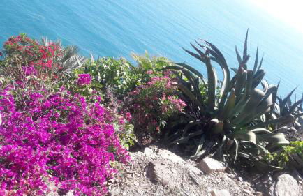 Casa a picco sul mare 5 terre - Foto 55