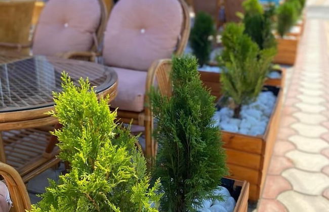 Marin Apart Otel - Photo 15