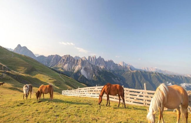 Modern Apartment, Bressanone - Foto 24