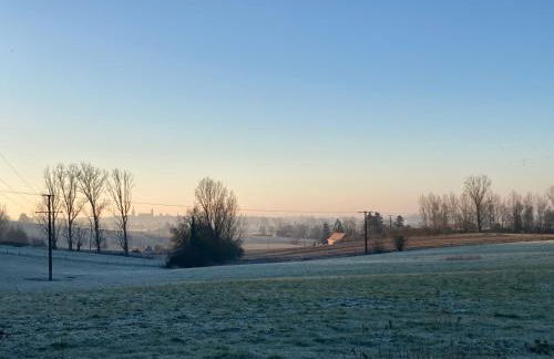 Au coin du loup, monts de Flandres, Zwarteberg - Foto 33