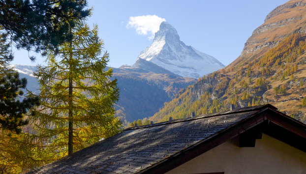 Roger - Foto 2, View