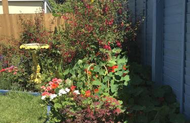 Driftwood Seagrass - Photo 35