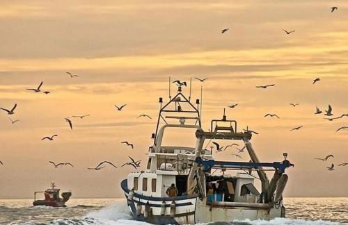 ROQUES DAURADES III - JARDIN PRIVADO - Foto 46