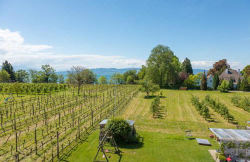Ferienapartment Panoramablick - gemütlicher Rückzugsort mit Ausblick - Foto 19