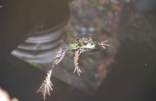 Quinta da Maria Mendes - Foto 41