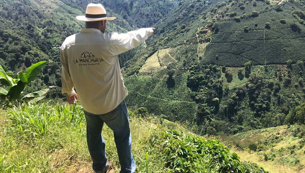 Tour por una finca de café de Salgar - Foto 3, Atendiendo a las explicaciones del guía