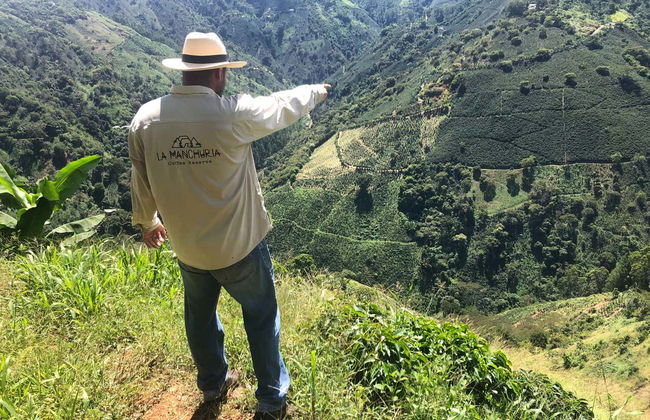 Tour por una finca de café de Salgar - Foto 3