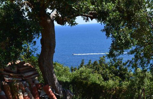 Blu OltreMare - Photo 50