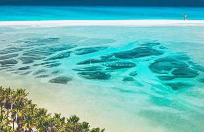 Paris Lovely - Photo 70