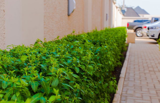 Tenny's Place Apartments - Foto 21