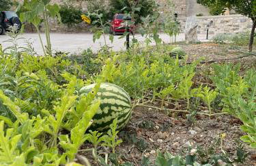 Venetiko rooms - Photo 22