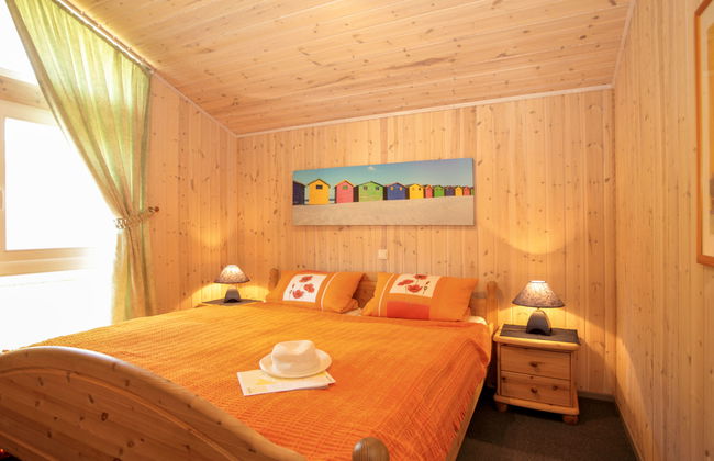 Seeschwalbe - Foto 4