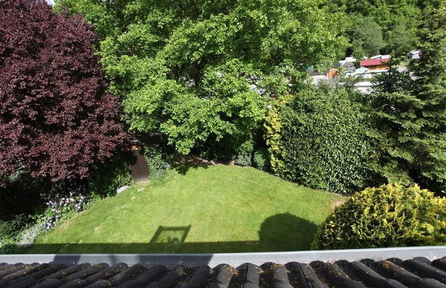 Bos en Kasteel - Foto 15