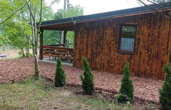 Zielenina Leśny Domek - Foto 18