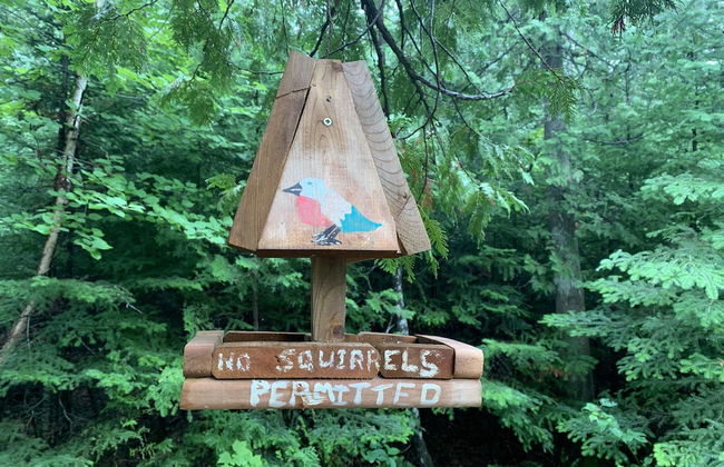 Heron's Nest Cottages - Foto 34