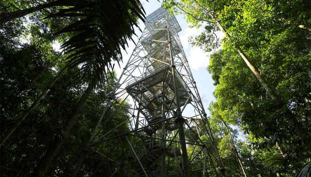 Check out the observation tower