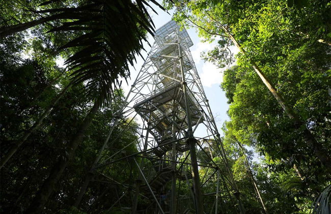 Museu da Amazônia Tour - Photo 3