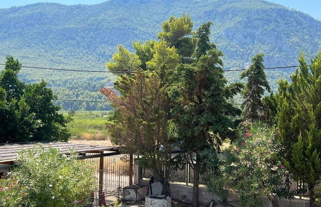 Seaside House in Psatha - Photo 17