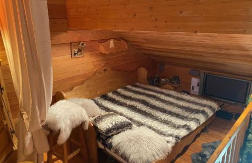 App style chalet de caractère, chaleureux et confortable pied des pistes - Foto 7