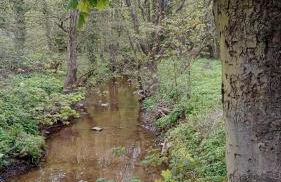 Coastal retreat - Photo 16