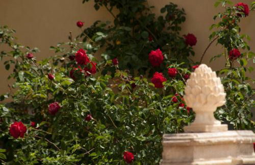 Masseria Case Damma - Photo 66