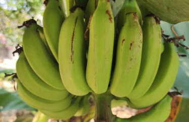 Casa Aconchegante - Foto 16