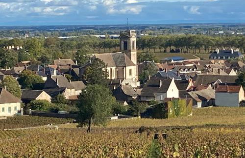 Coeur de Pommard - Foto 35