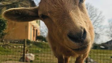 Agriturismo La Montina - Foto 2