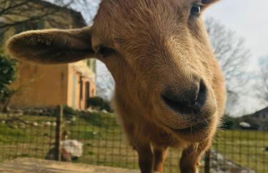 Agriturismo La Montina - Foto 2