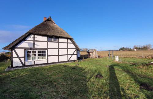 Urlaub unterm Reetdach auf dem Darß - Foto 1