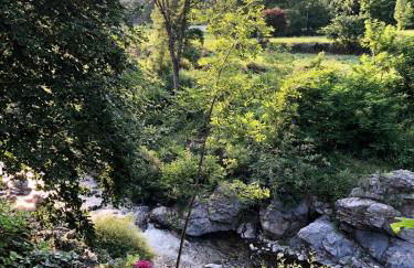 Les Cèdres - Foto 15