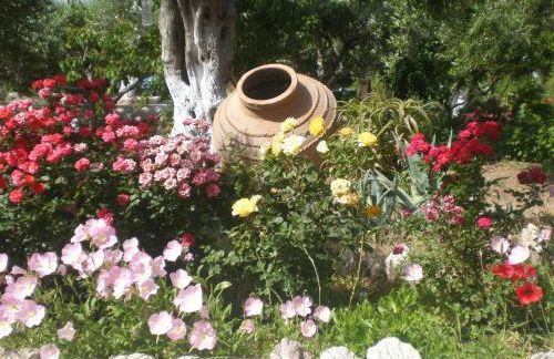 Tiki Rooms - Foto 24