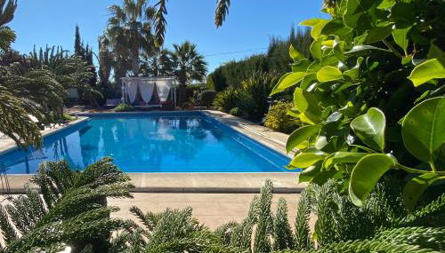 Vacaciones La Marina Costa Blanca - Foto 1