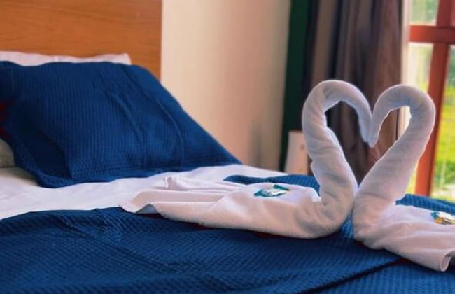 Pedro Alexandre Da Costa - Photo 1