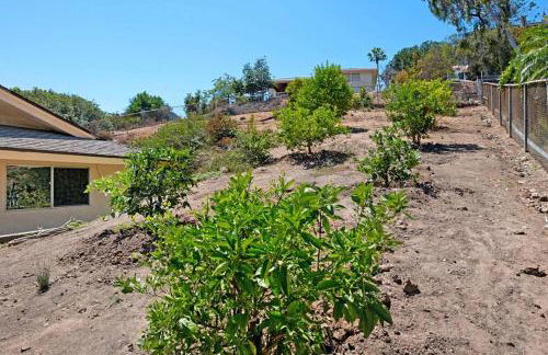 Charming 2 Room La Mesa Casita w/ Pool, BBQ & Yard - Photo 26