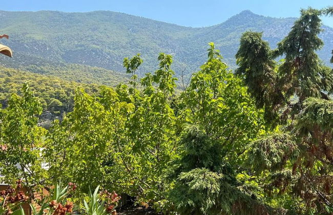 Seaside House in Psatha - Photo 19