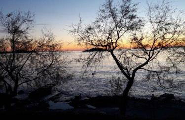 Apartmani Seka 1 - Foto 36