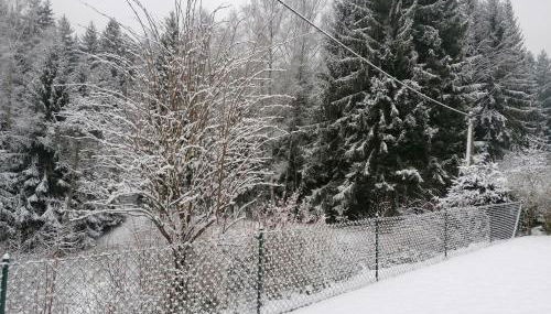 Ferienhaus am Wald - Foto 5