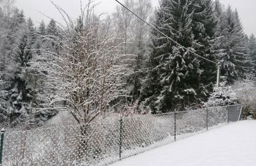 Ferienhaus am Wald - Foto 5