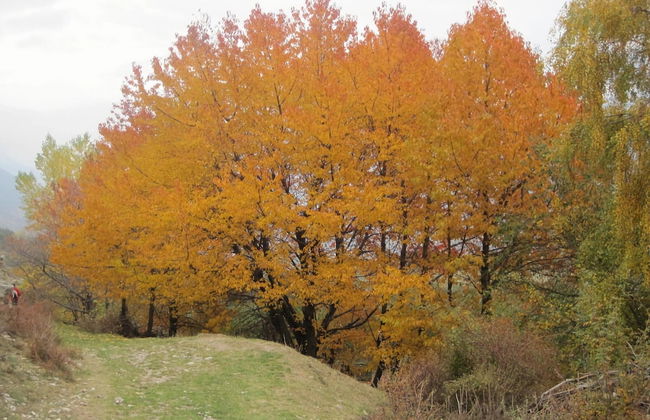 Majestic Apartment in Meran - Foto 18