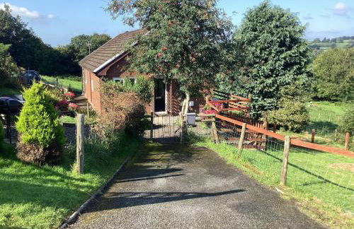 Cartref Bach - Foto 11