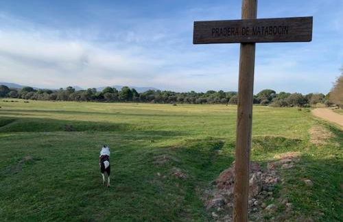 El Refugio de Felix - Photo 75